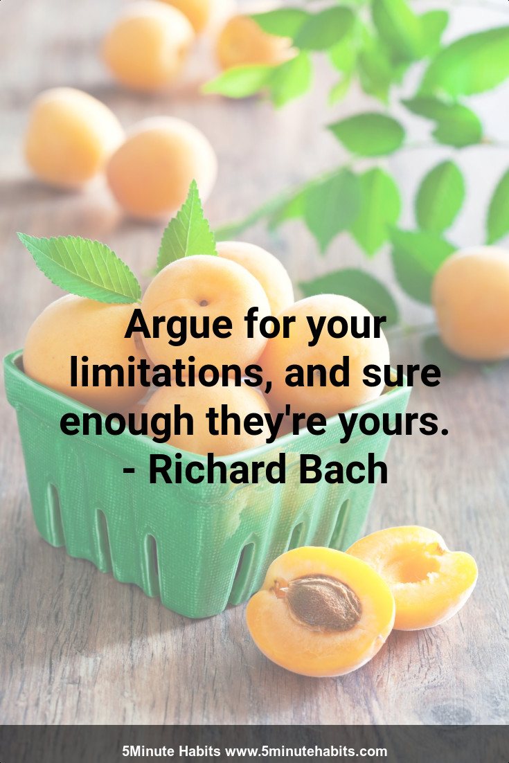 Argue for your limitations, and sure enough they're yours. - Richard Bach